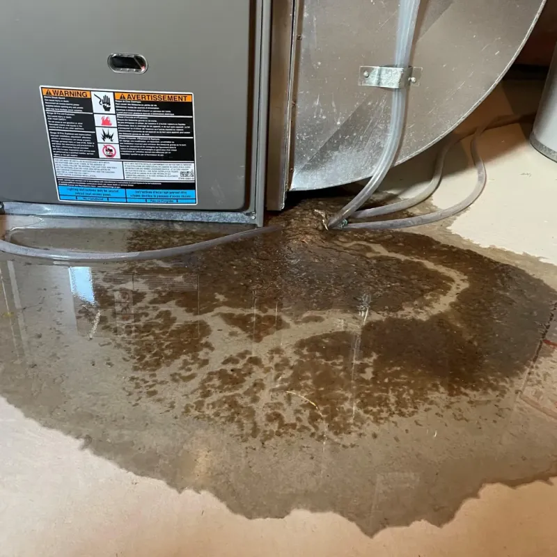 Appliance Leak Cleanup in Dillsburg, PA